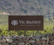 Viu Manent is named Winery of the Year 2017